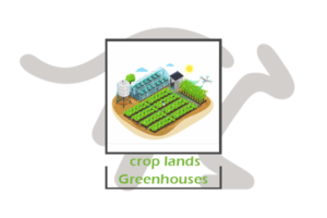 crop-lands-Greenhouses